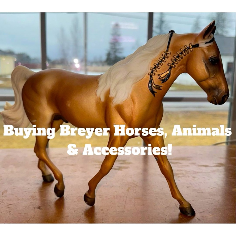 ISO Buying Breyers